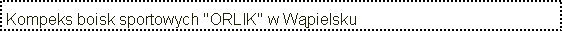 Pole tekstowe: Kompeks boisk sportowych "ORLIK" w Wpielsku